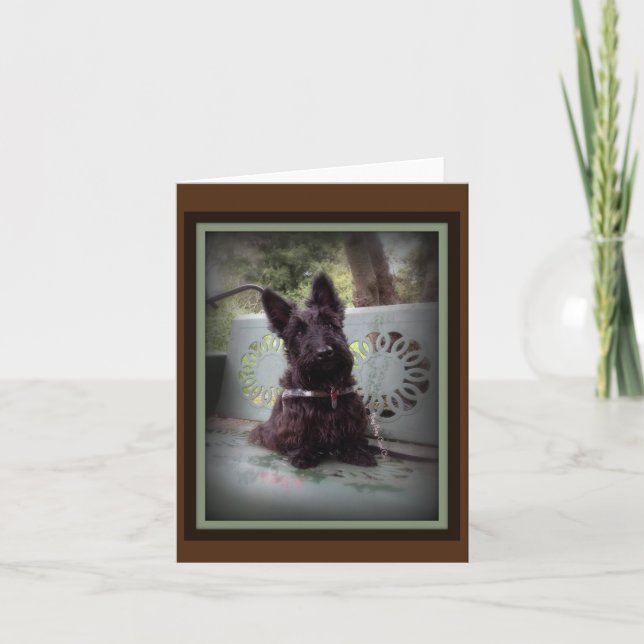 Cartão De Agradecimento Inclinação de Cabeça (Frente)