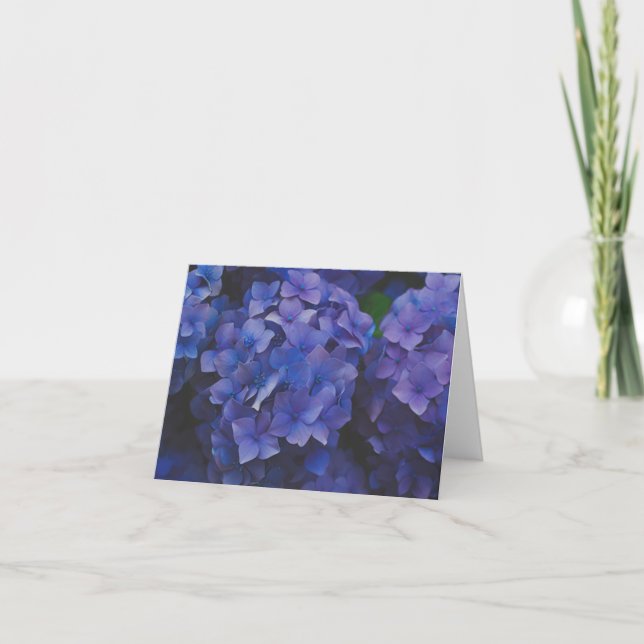 Cartão De Agradecimento Indigo Hydrangea Dusk Note Card (Frente)