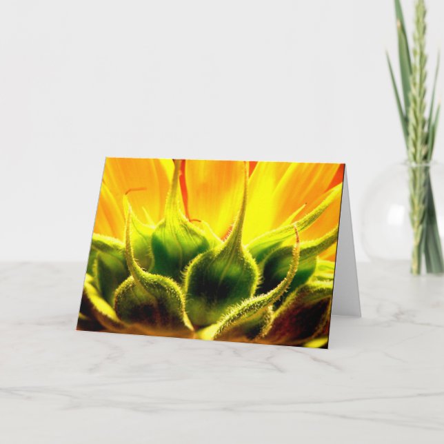 Cartão De Agradecimento Intimidade (Frente)