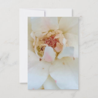 Cartão De Agradecimento Inventions card