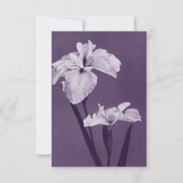 Cartão De Agradecimento Iris Fine Art