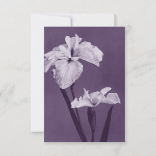 Cartão De Agradecimento Iris Fine Art