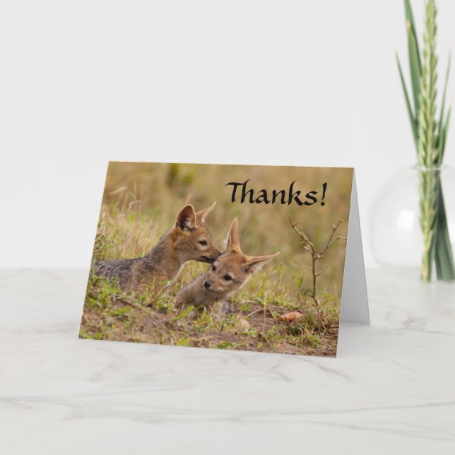 Cartão De Agradecimento Jackal Cub Thank You (Frente)