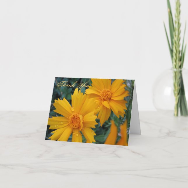 Cartão De Agradecimento James 1:17 Thank You Card (Frente)