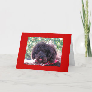 Cartão De Agradecimento Joey "Obrigado"