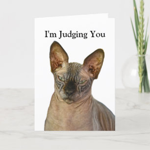Cartão De Agradecimento Judgmental Sphinx Cat Feliz Aniversário