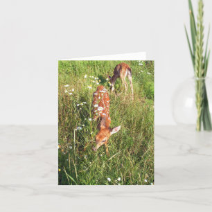 Cartão De Agradecimento Juntos