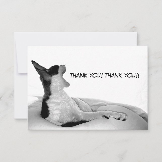 Cartão De Agradecimento Kitsa Diva: Rainha de seu domo (Frente)