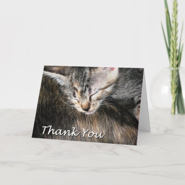 Cartão De Agradecimento Kitten and Cat Thank You (Frente)