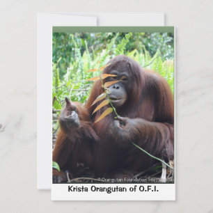 Cartão De Agradecimento Krista Orangutan em Vazio de Borneo Rainforest Car