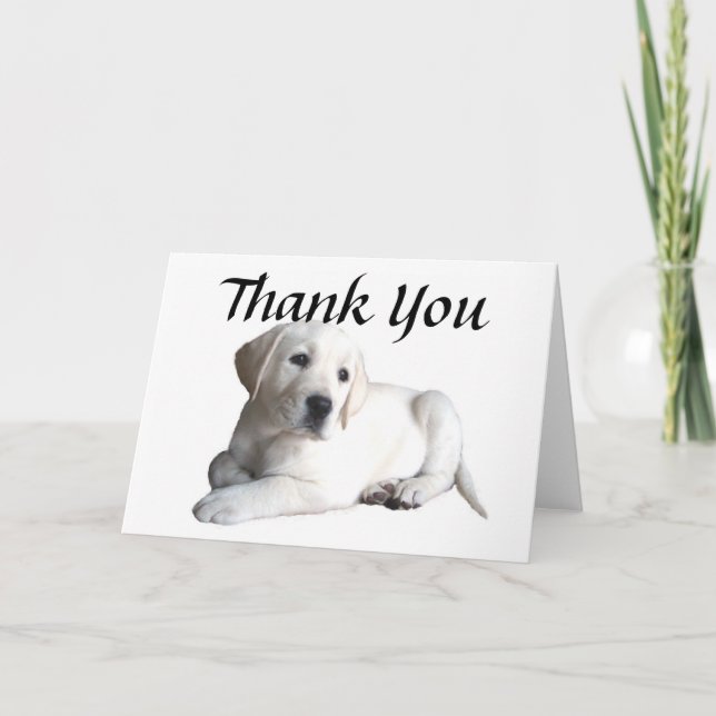 Cartão De Agradecimento Labrador Retriever Thank You Card (Frente)