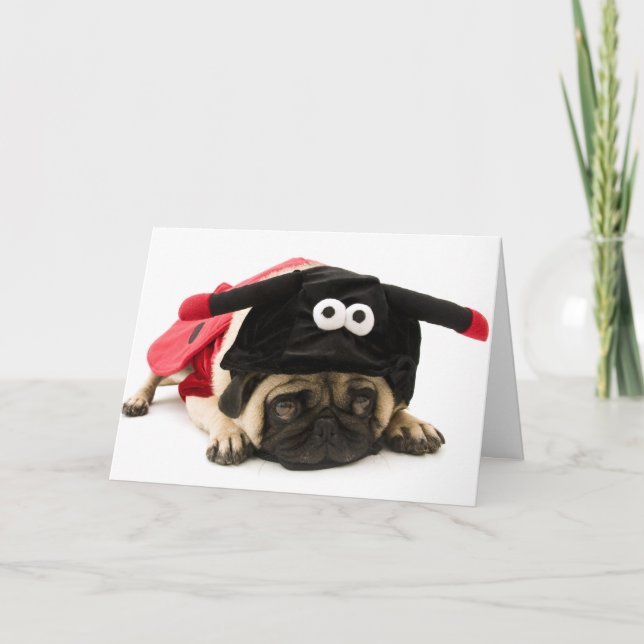 Cartão De Agradecimento Lady Bug Pug (Frente)