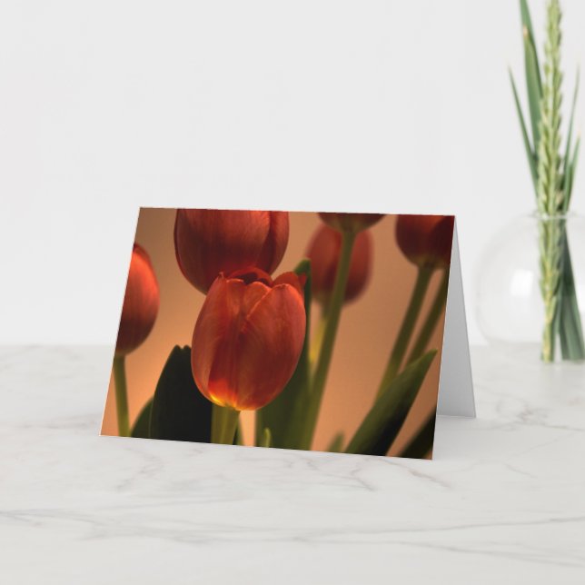 Cartão De Agradecimento Largura de Sol (Frente)