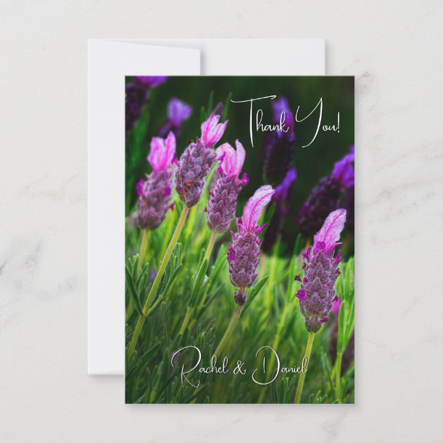 Cartão De Agradecimento Lavanda, Amor e Devoção, Casamento (Frente)