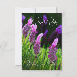 Cartão De Agradecimento Lavanda, Amor e Devoção, Casamento, RSVP