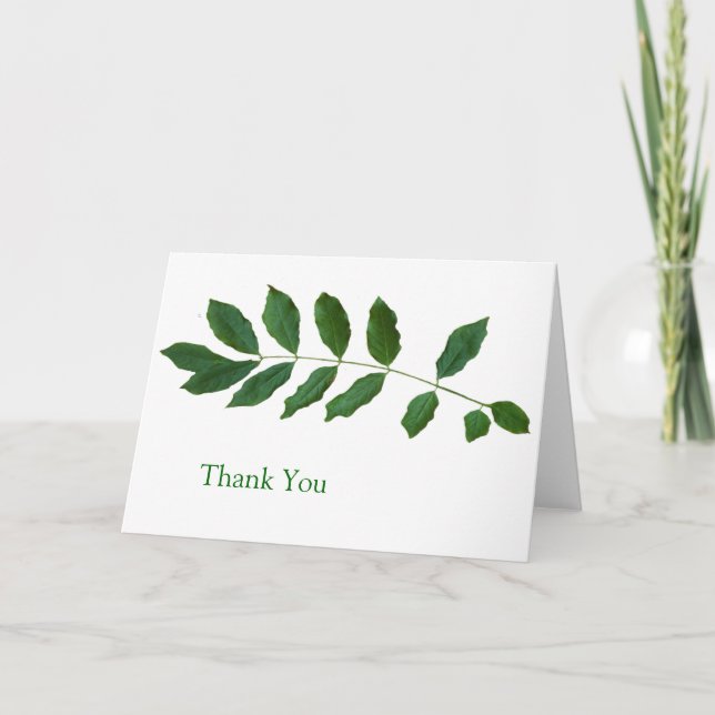 Cartão De Agradecimento Leaf Fern Nature Thank You Card (Frente)