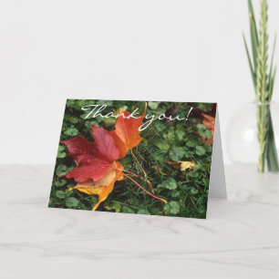 Cartão De Agradecimento Leaves Landscape - Thank you!