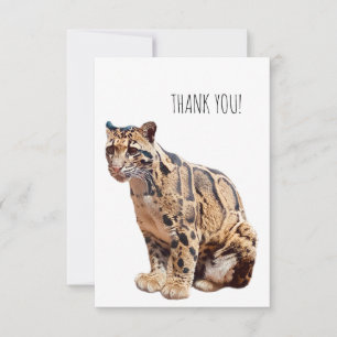 Cartão De Agradecimento leopardo nebuloso fotografia selva grande gato ani