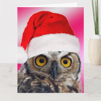 Cartão De Agradecimento Lets Give Thanks Great Horned Owl Reluctant Santa