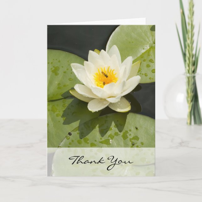 Cartão De Agradecimento Lily Pads and White Lotus Flower Thank You Card (Frente)