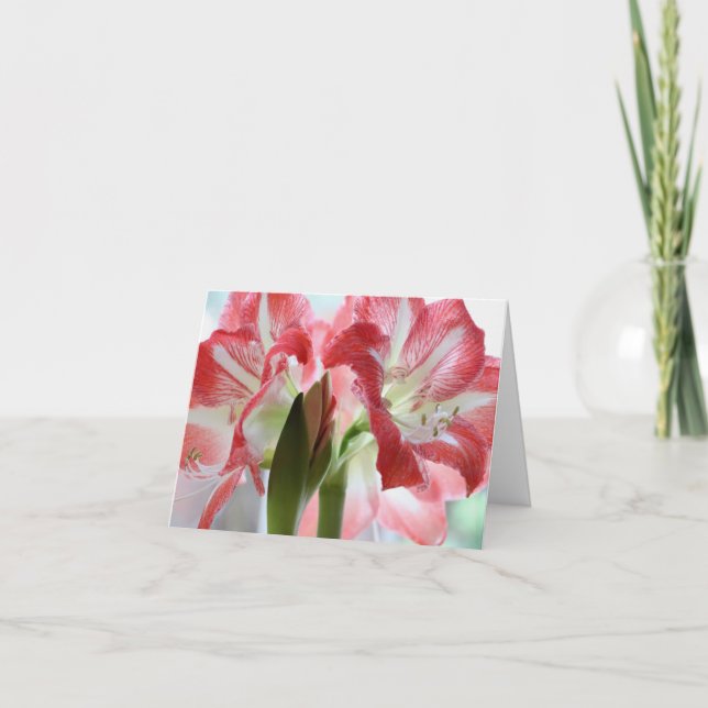 Cartão De Agradecimento Lily Verigrou Toda A Caixa De Saudação Dobrada Oca (Frente)