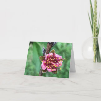 Cartão De Agradecimento Linda Flor de Cor-de-Rosa na Árvore de Pêssego