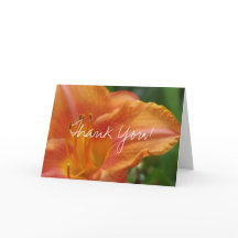 Lírio Tigre Obrigado Branco