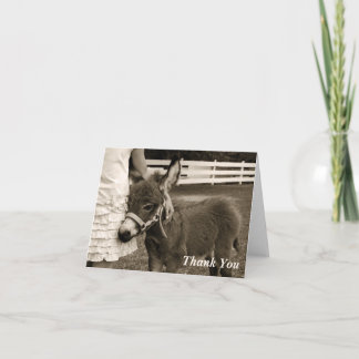 Cartão De Agradecimento Little Burro Thank You Card