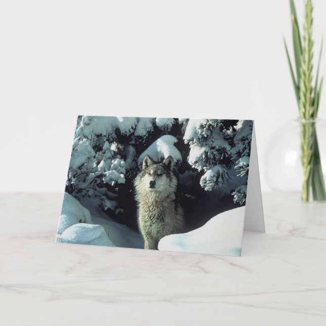 Cartão De Agradecimento Lobo na neve (Frente)