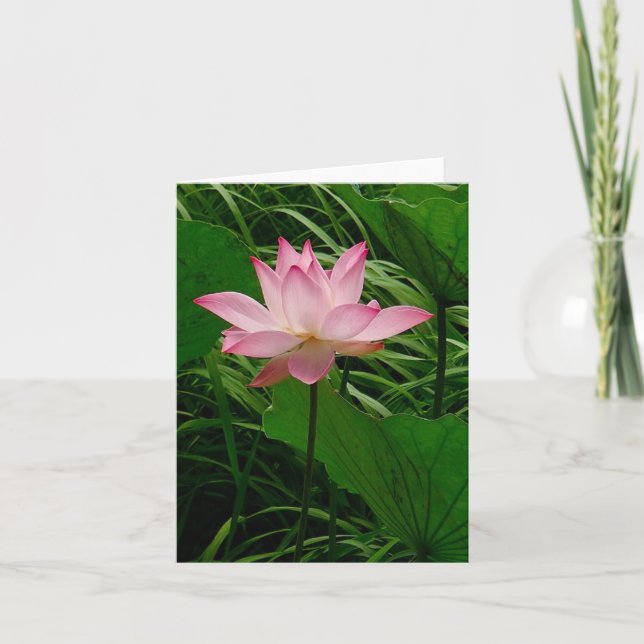 Cartão De Agradecimento Lotus Notecard (Frente)