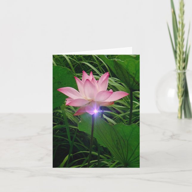 Cartão De Agradecimento Lotus Notecard (Frente)