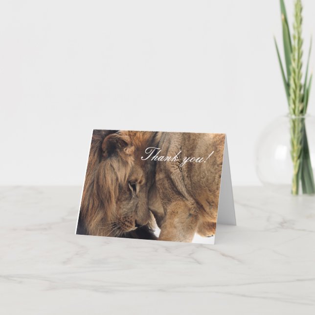 Cartão De Agradecimento Loving Lions - Thank You Cards (Frente)