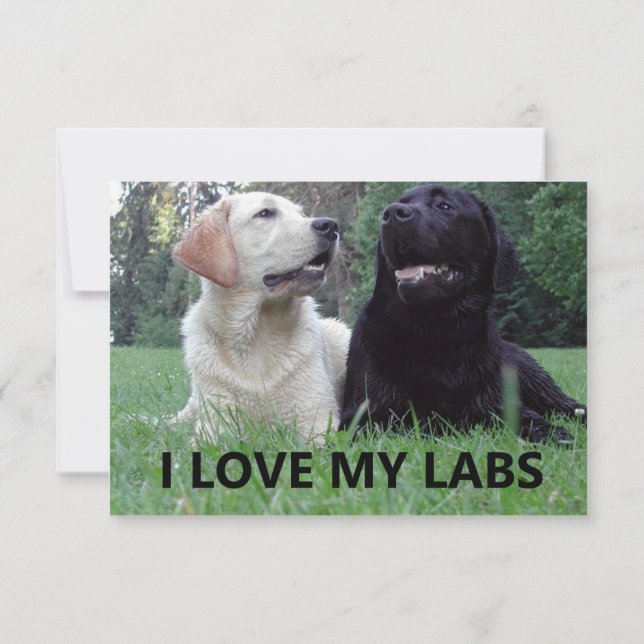 Cartão De Agradecimento LR I Love My Labs with picture (Verso)