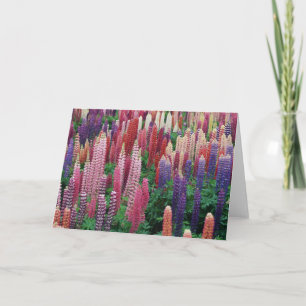 Cartão De Agradecimento Lupin Flowers Blank Greeting Card
