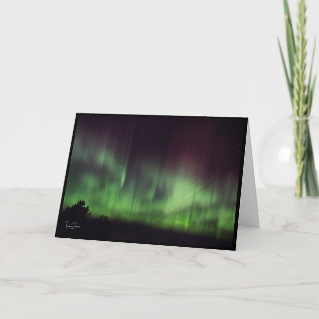 Cartão De Agradecimento Luzes Dançantes Sobre Placa de Vazio de Árvores Si (Frente)