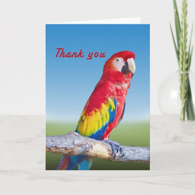 Cartão De Agradecimento Macaw Parrot Thank You Card (Frente)