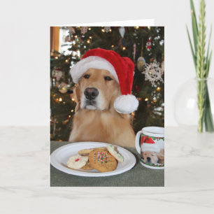 Cartão De Agradecimento Maddie Aguardando em Papais noeis