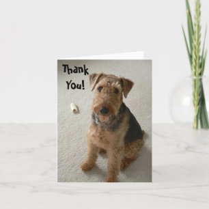 Cartão De Agradecimento Madeleine Thank You Notecard