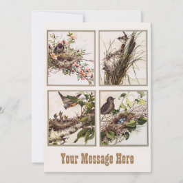 Cartão De Agradecimento Mãe de pássaro personalizado e bebê de pássaro - d