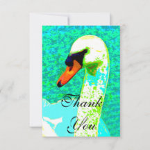 Maiestoso Cabeça Branca de Cisne