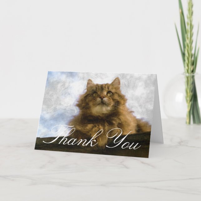 Cartão De Agradecimento Maine Coon Cat Impressionist Art Thank You Card (Frente)