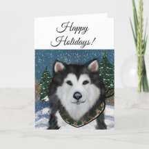 Malamute do Alasca