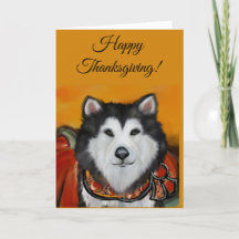 Malamute do Alasca
