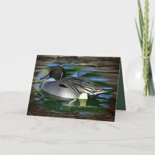 Cartão De Agradecimento Mallard Duck No Lago
