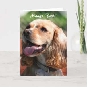 Cartão De Agradecimento Mange Tak Thank You Cocker spaniel greeting card