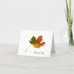 Cartão De Agradecimento Maple Leaf by Petr Kratochvil, Thank You Card