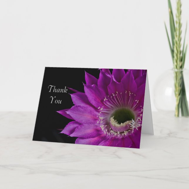 Cartão De Agradecimento Maria Piazza cactus bloquearam Obrigado (Frente)