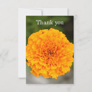 Cartão De Agradecimento Marigold Flat Thank You Card