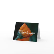 Marigold obrigado você