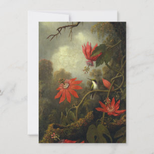 Cartão De Agradecimento Martin Johnson Heade - colibri